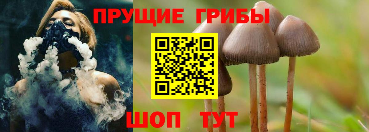 продажа наркотиков  Вход с VPN  Галлюциногенные грибы мицелий  Гусь-Хрустальный  Галлюциногенные грибы Cubensis 